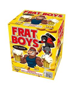 NN2041-frat-boys